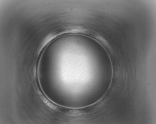 X0000081341420200701182009