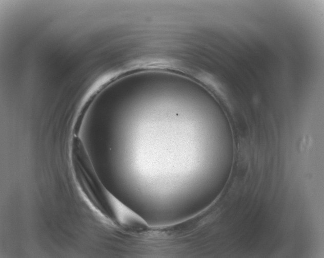 X0000081341424200701182009