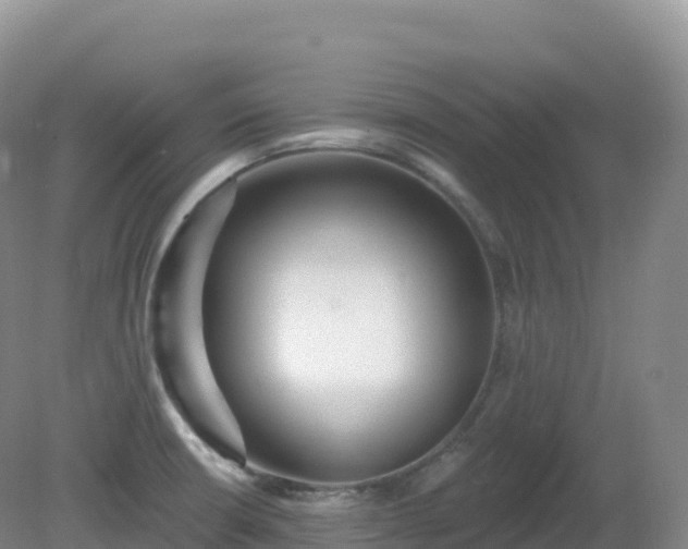 X0000081341426200701182009