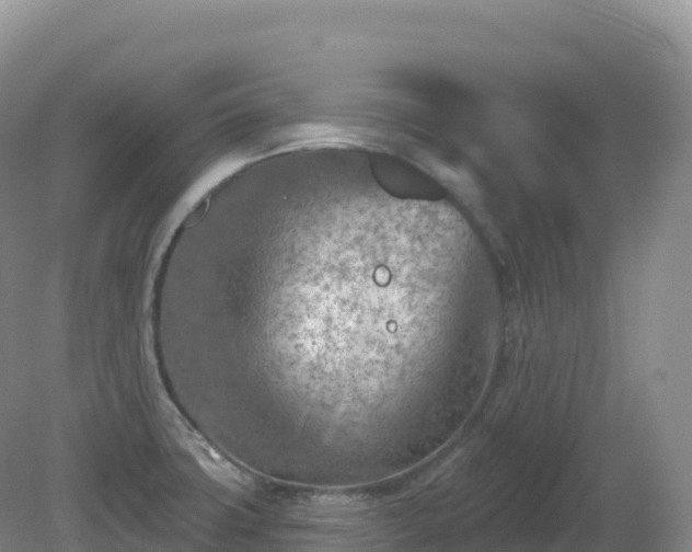 X0000081341427200701182009