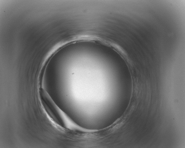 X0000081341430200701182009