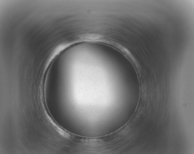 X0000081341432200701182009