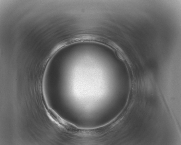 X0000081341433200701182009