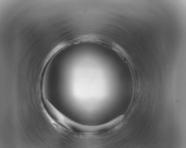 X0000081341434200701182009