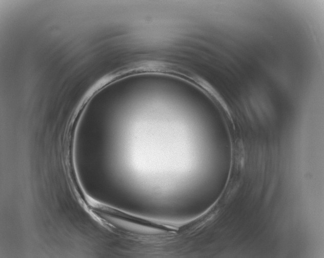X0000081341437200701182009