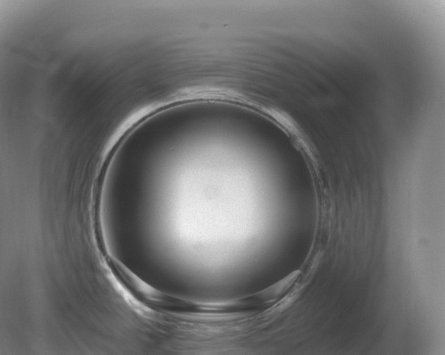 X0000081341438200701182009