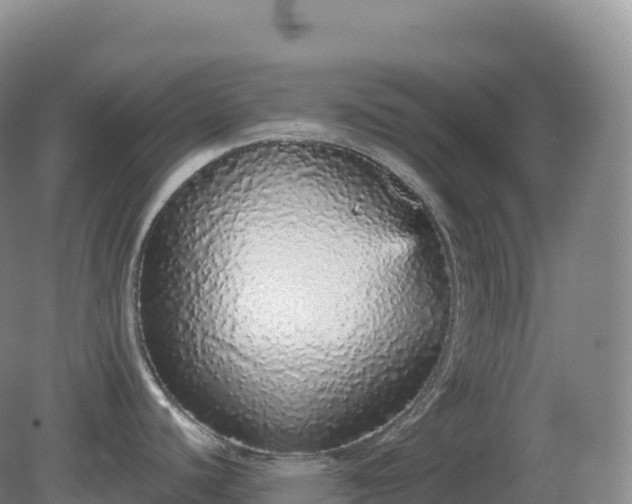 X0000081341440200701182009