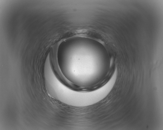 X0000081341441200701182008