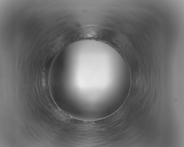 X0000081341442200701182008