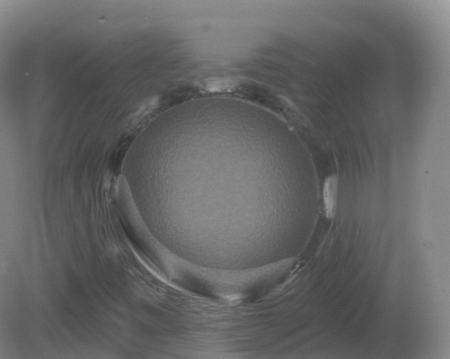 X0000081341443200701182008