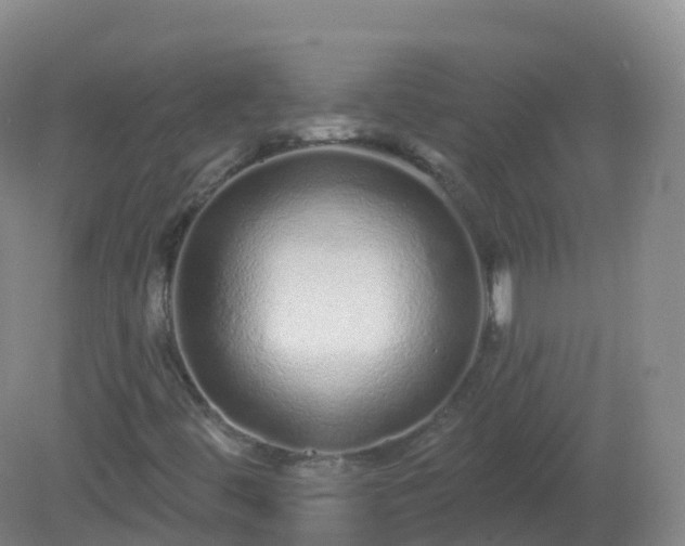 X0000081341444200701182008