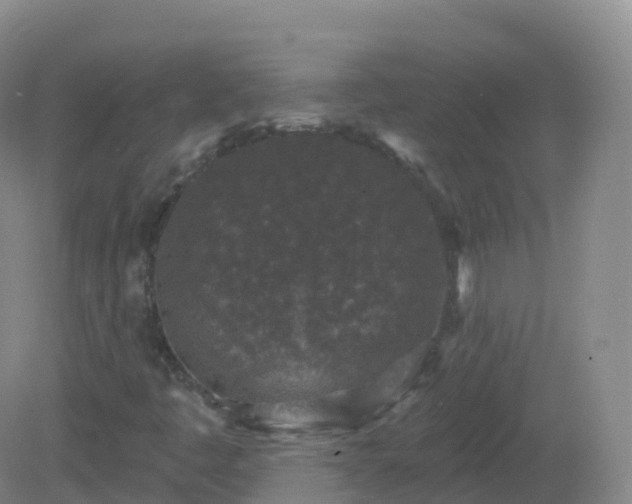 X0000081341445200701182008