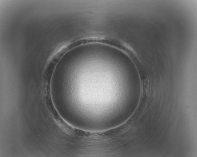 X0000081341448200701182008