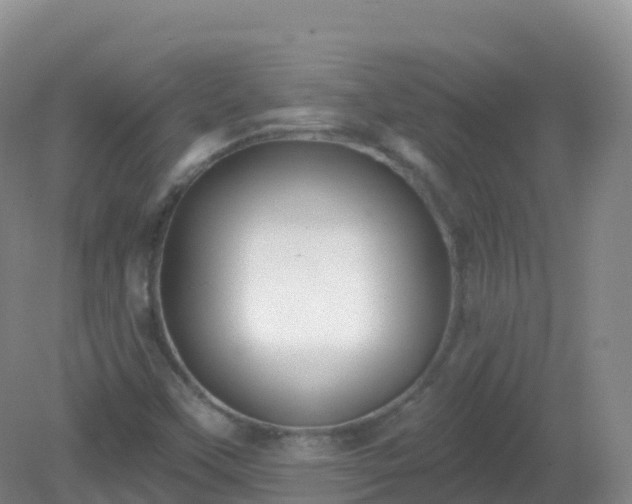 X0000081341451200701182008