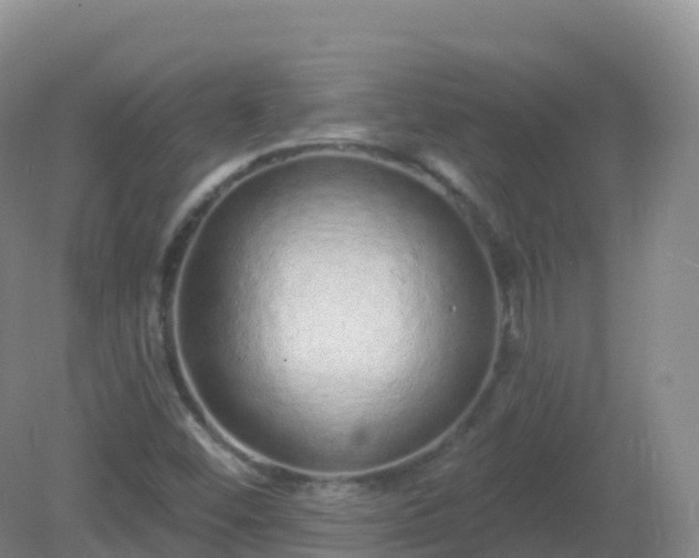 X0000081341452200701182008
