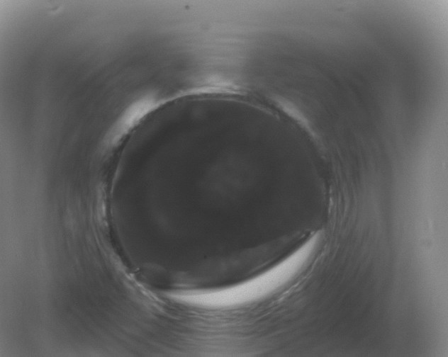 X0000081341455200701182008