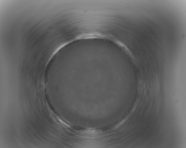 X0000081341457200701182008