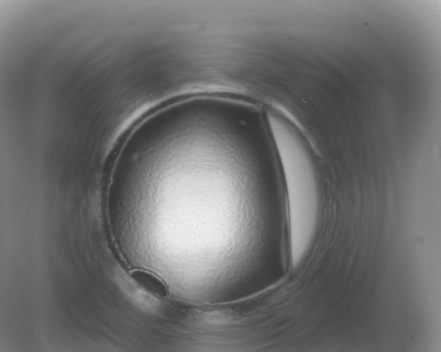 X0000081341460200701182008
