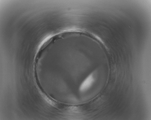 X0000081341463200701182008