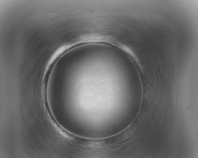 X0000081341472200701182008