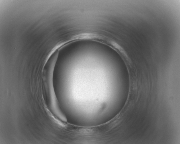 X0000081341473200701182008