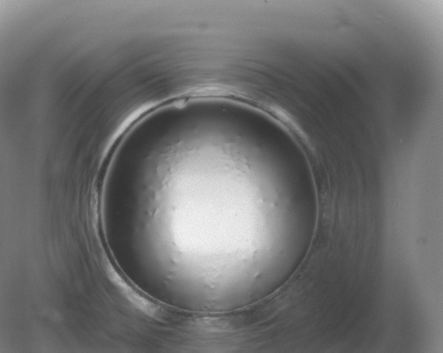 X0000081341476200701182008