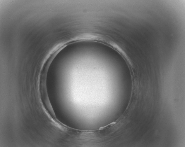 X0000081341477200701182008