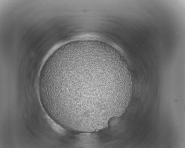 X0000081341478200701182008