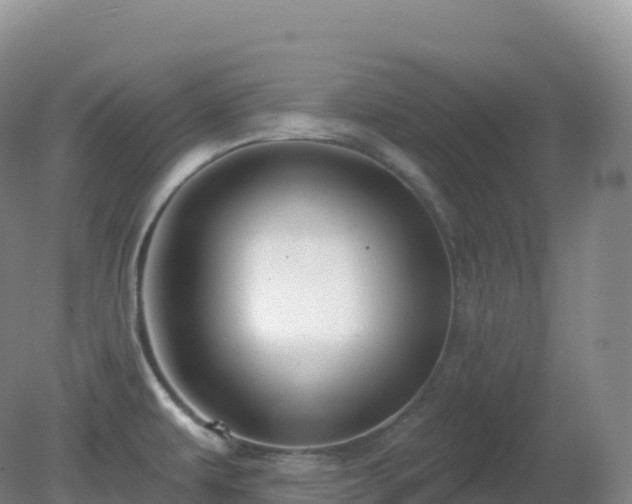X0000081341479200701182008