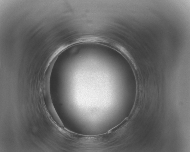 X0000081341481200701182007