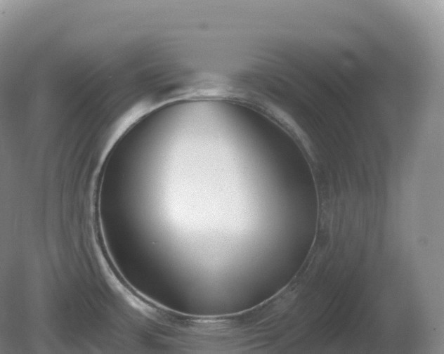 X0000081341483200701182007