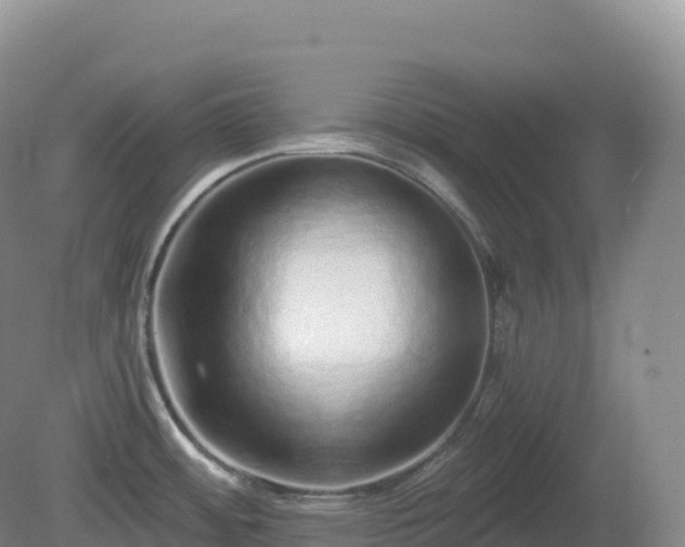 X0000081341484200701182007
