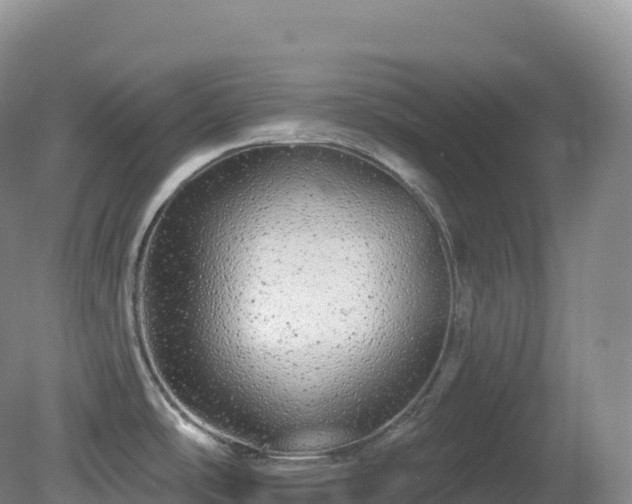 X0000081341486200701182007
