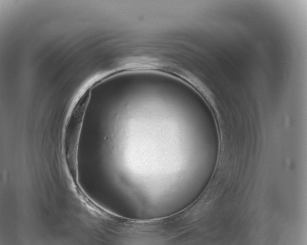 X0000081341488200701182007