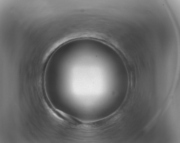 X0000081341500200701182007