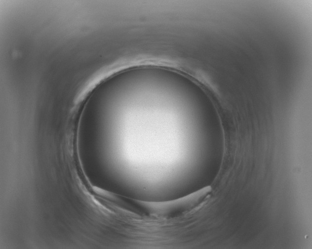 X0000081341504200701182007