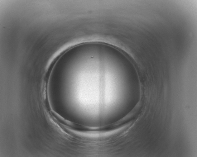 X0000081341510200701182007