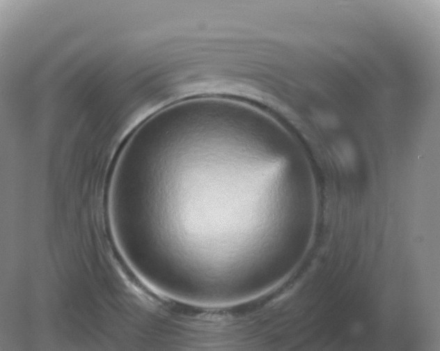 X0000081341513200701182007
