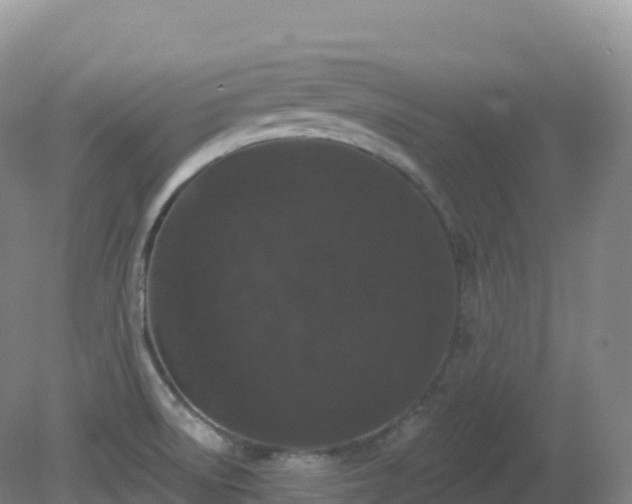 X0000081341522200701182007