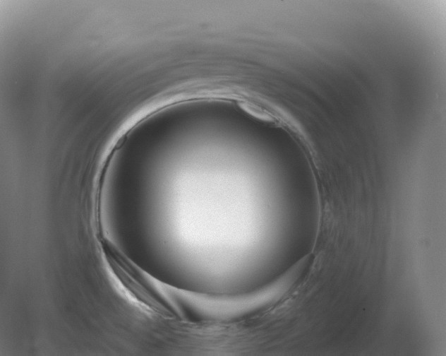 X0000081341528200701182007