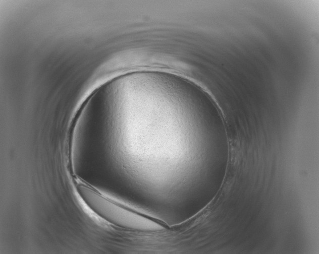 X0000081341531200701182007