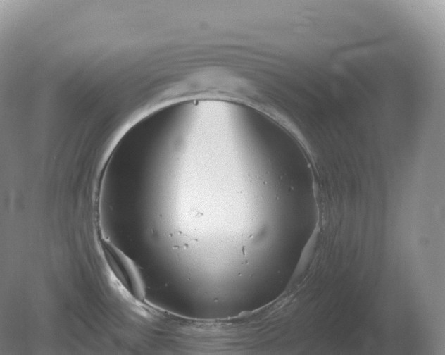 X0000081341532200701182007