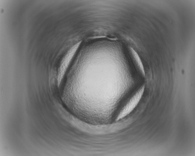 X0000081340038200701251910