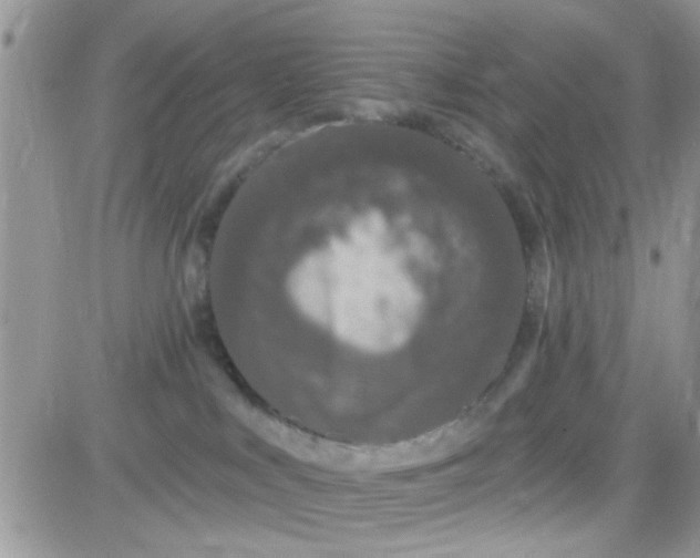 X0000081340043200701251910