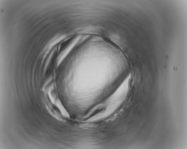 X0000081340050200701251909