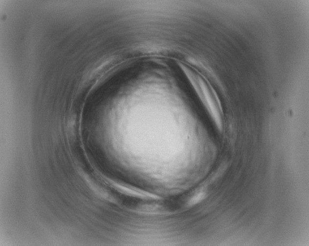 X0000081340066200701251909