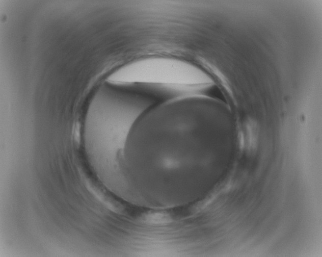 X0000081340067200701251909