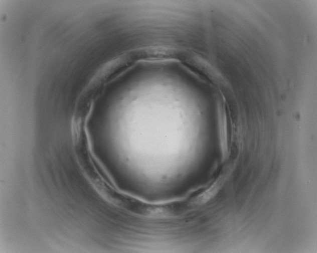 X0000081340070200701251909