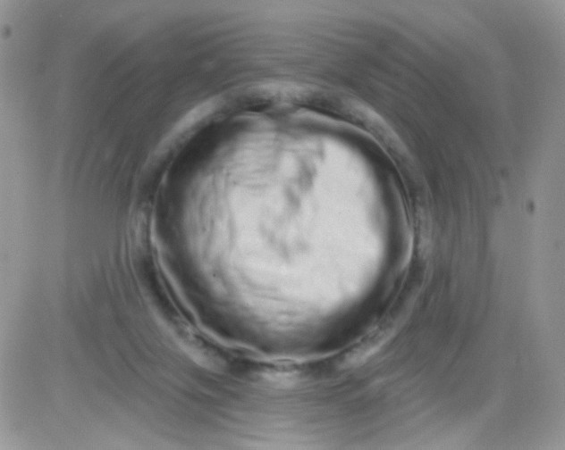 X0000081340071200701251909