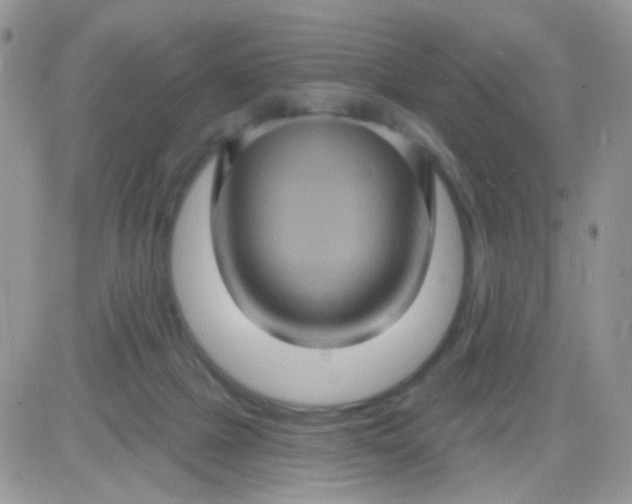 X0000081340073200701251909